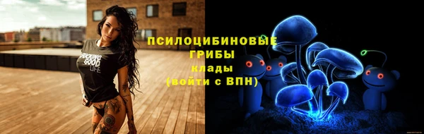 дживик Приозерск