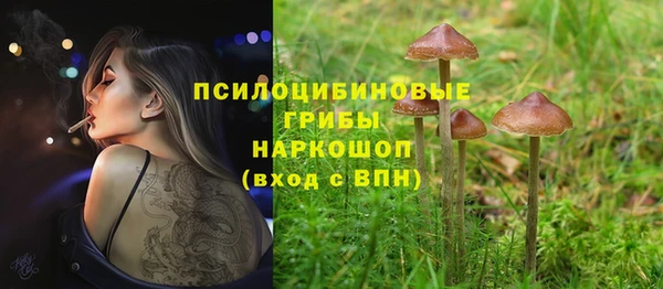бошки Пролетарск